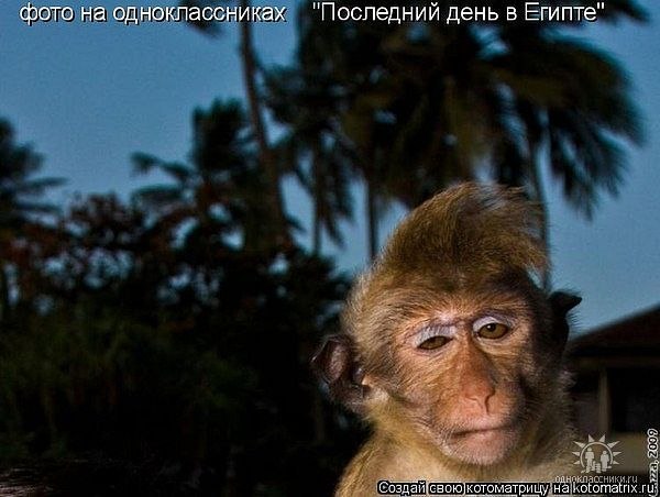 Юрий Ермолаев | Пенза