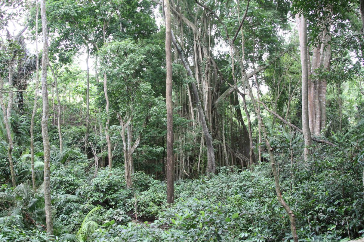 Любаша Солдатова | Москва