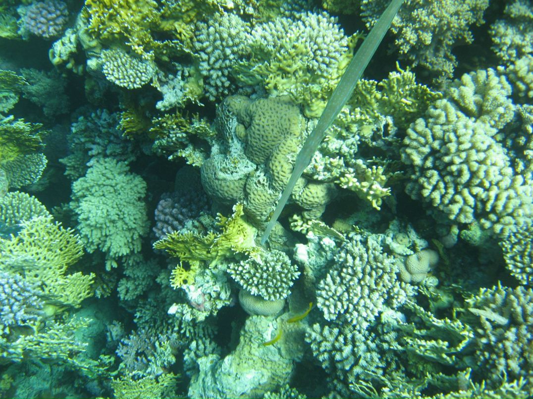 Надежда Кропачева | Киров