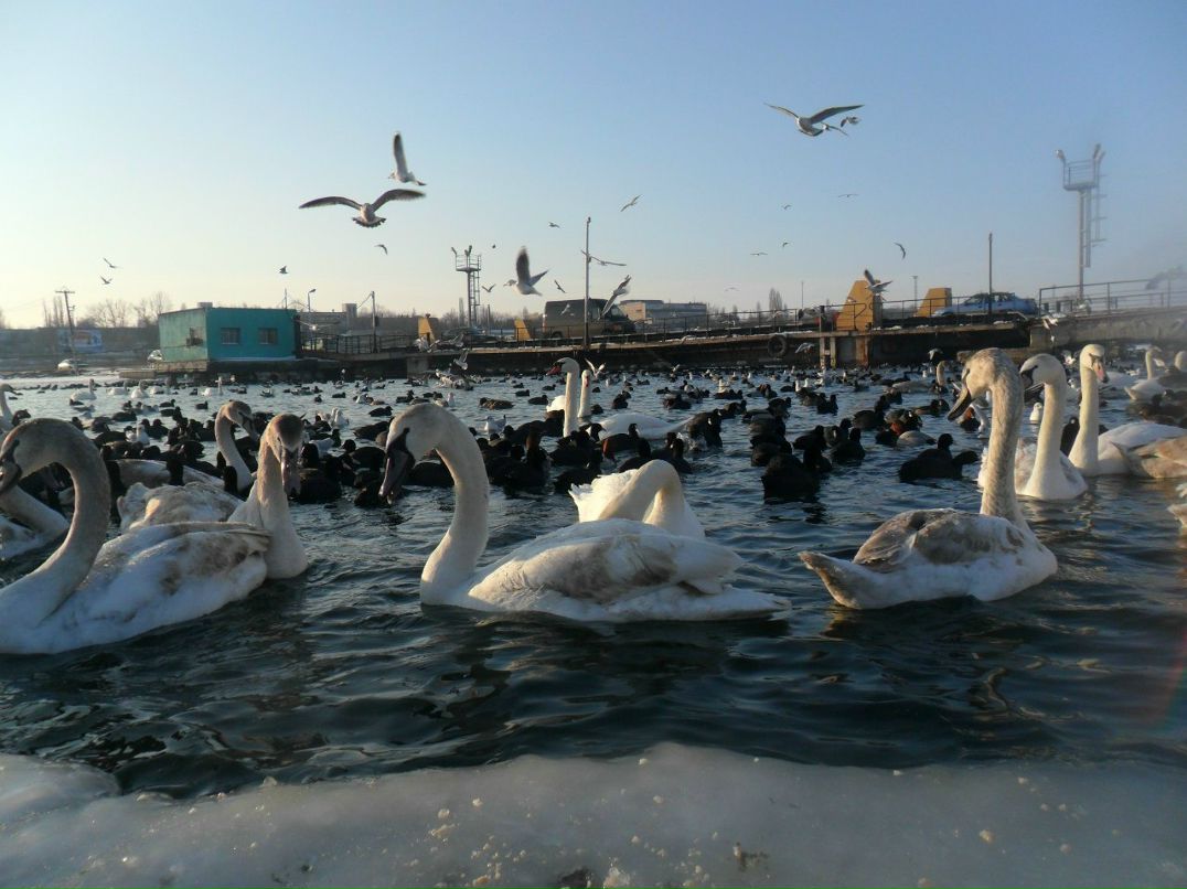 Игорь Синьков ~ Senya ~ | Одесса