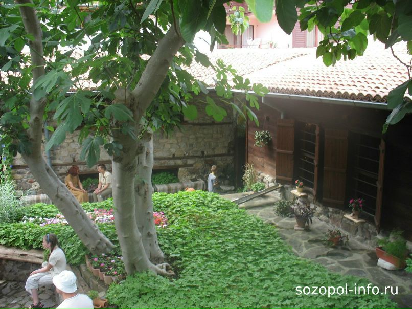 Ольга Димова | Житомир