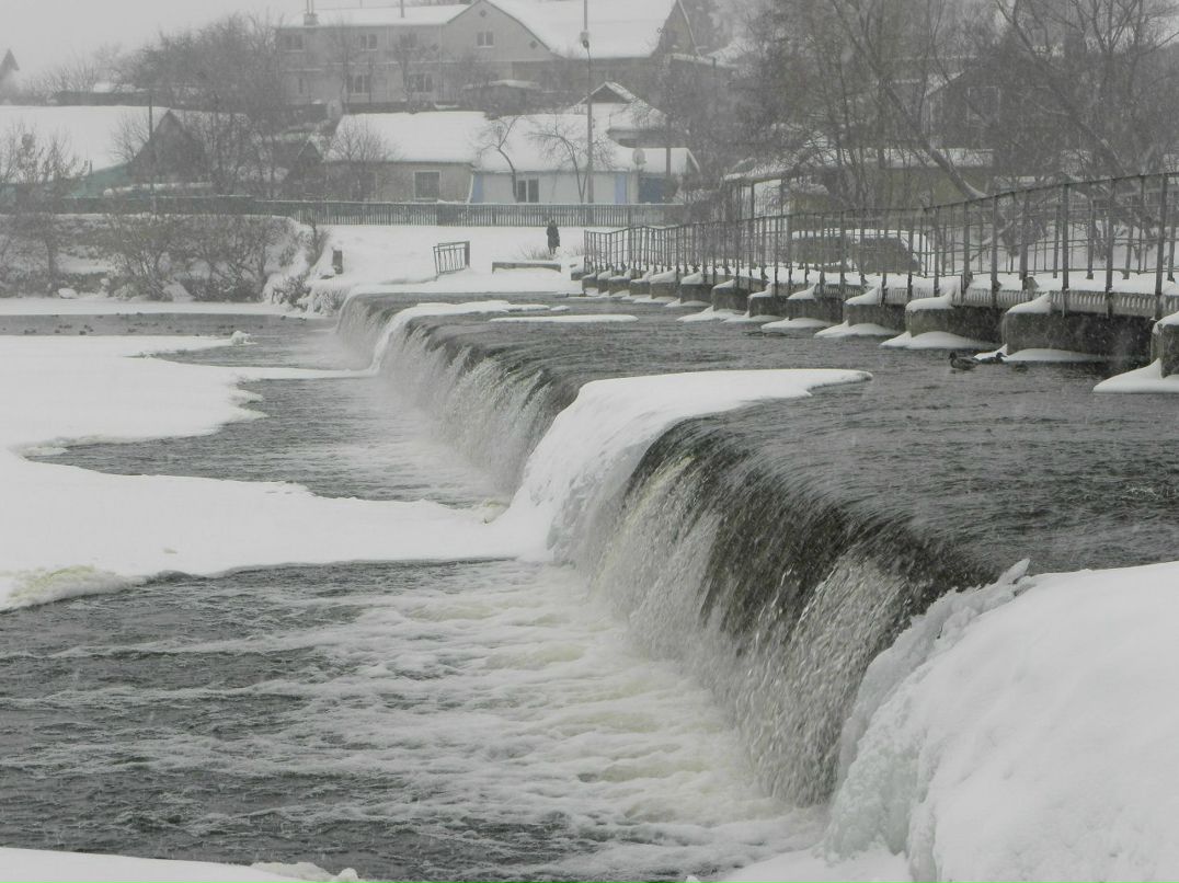 Виталик Линник | Белая Церковь