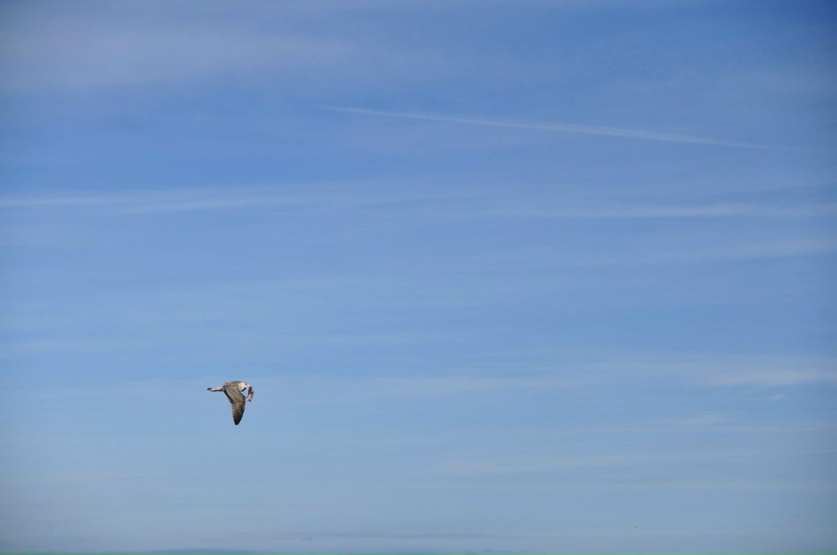 Александр Макаров | Singapore