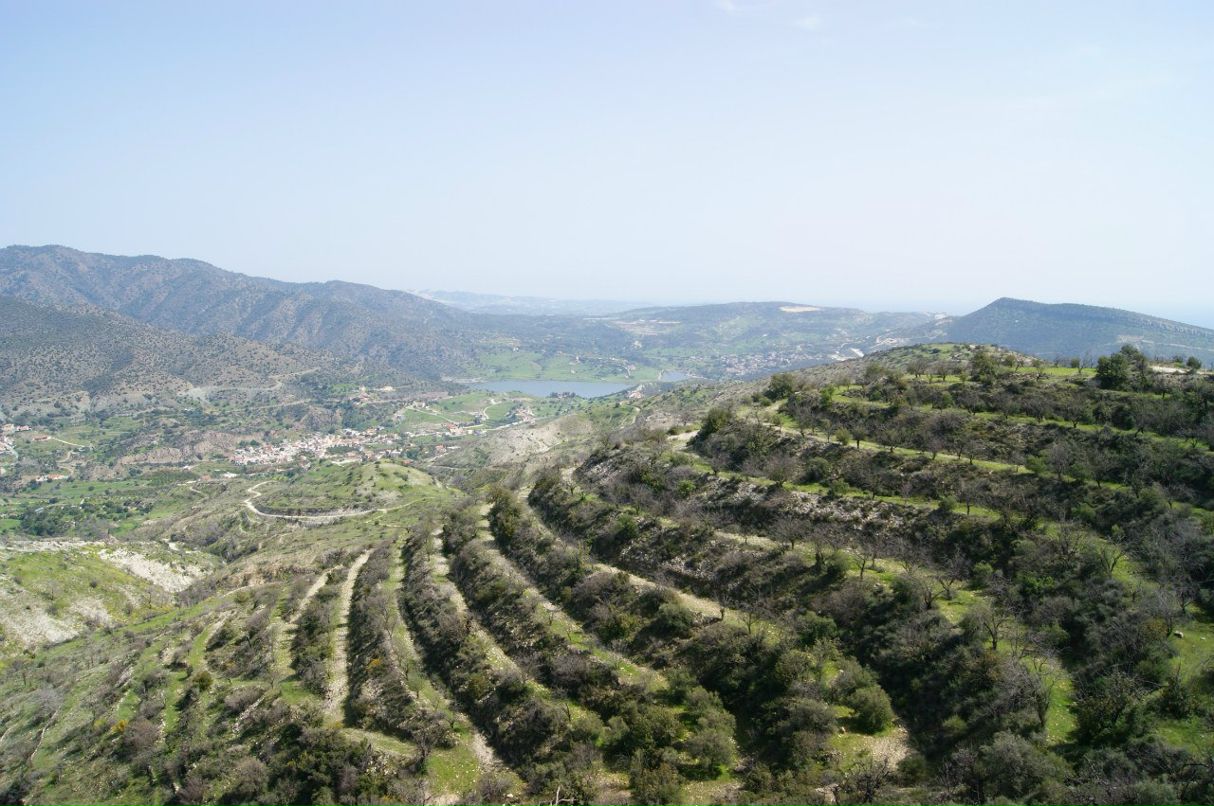 Анатолий Зырянов | Москва