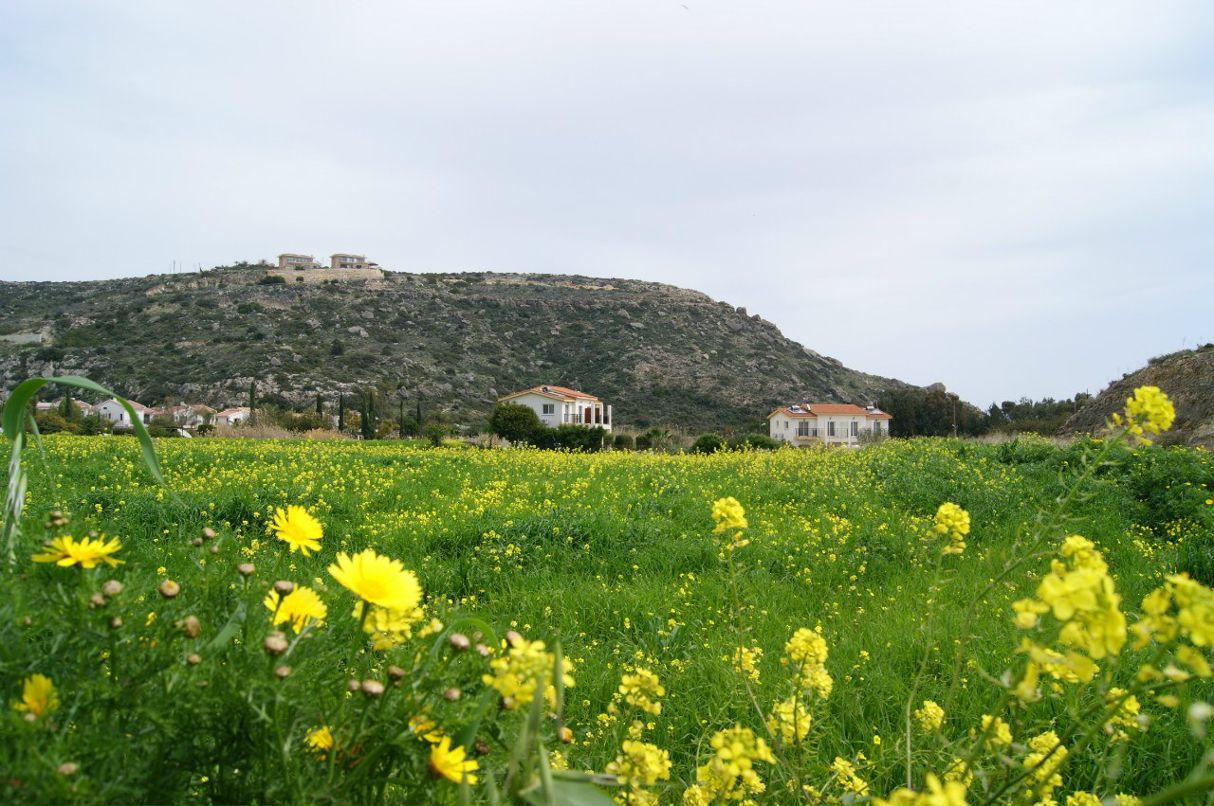 Анатолий Зырянов | Москва