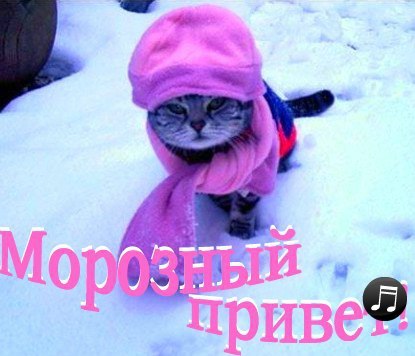 Владимир Близно | Угледар