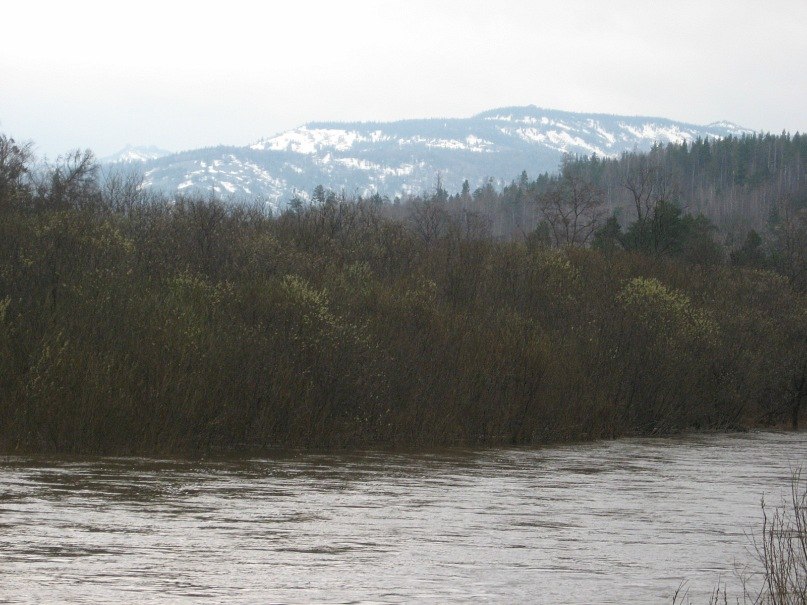 Денис Чистяков Владимирович | Трехгорный