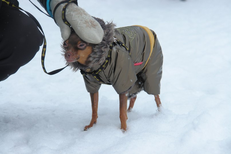 Светлана Корнилова | Санкт-Петербург