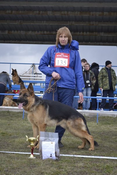 №46, Ольга Брусник, Кривой Рог №46, Ольга Брусник, Кривой Рог