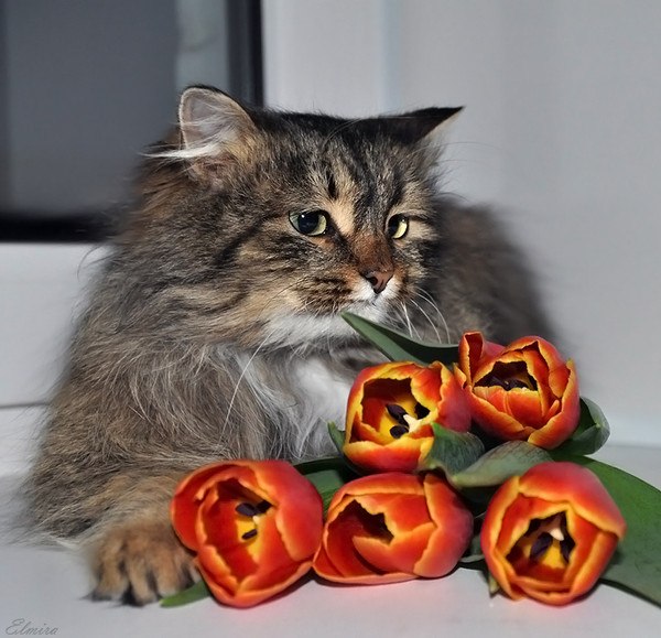 Андрей Полищук | Санкт-Петербург