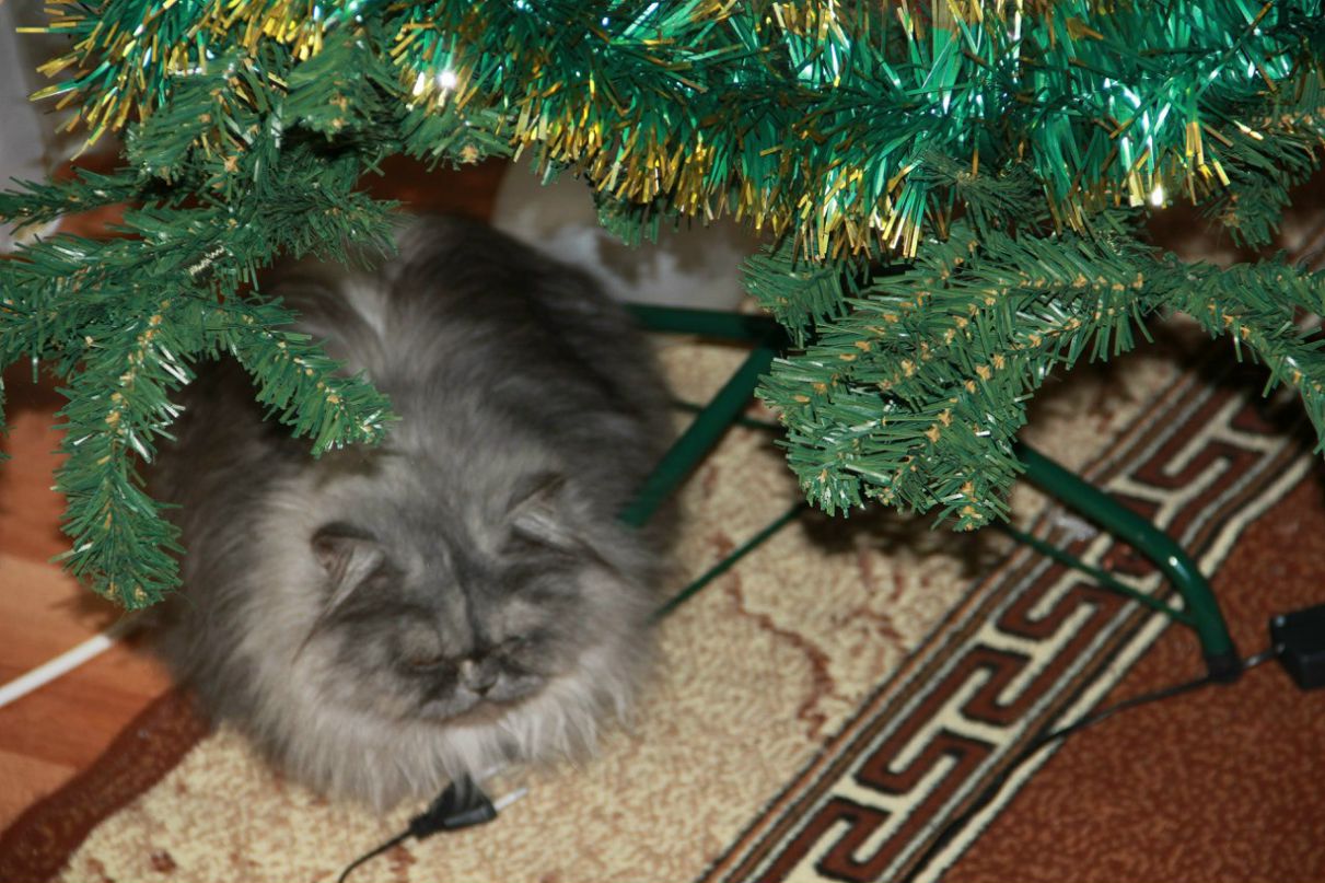 Наталья Онуфриюк | 