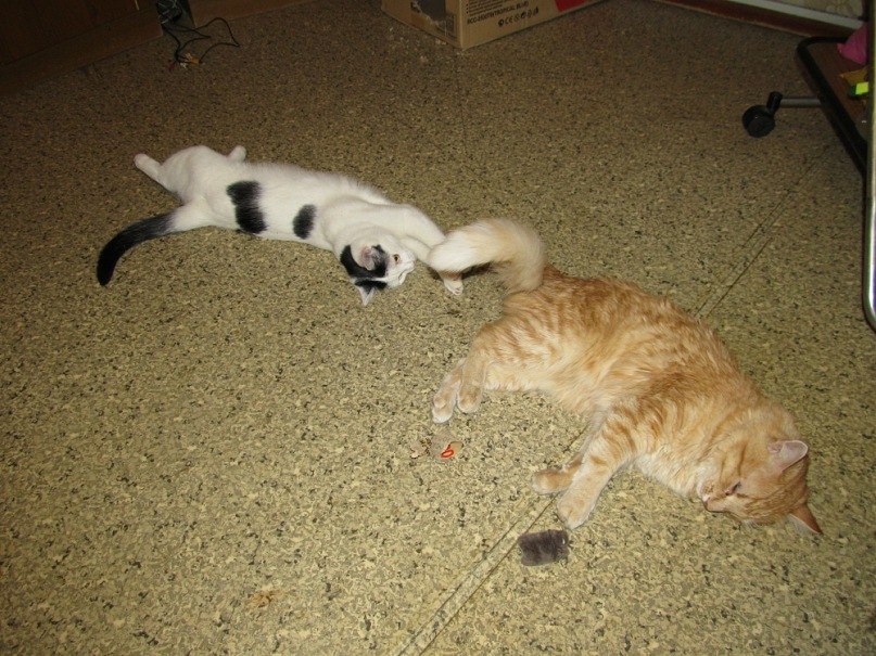 Дмитрий Смирнов | Набережные Челны