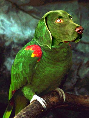 Алексей Юхтанов | Липецк