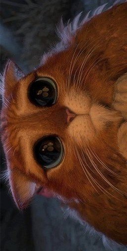 №171, Александр Сергеевич, Киев №171, Александр Сергеевич, Киев