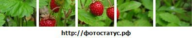 Фотография Наталья Прекрасная
