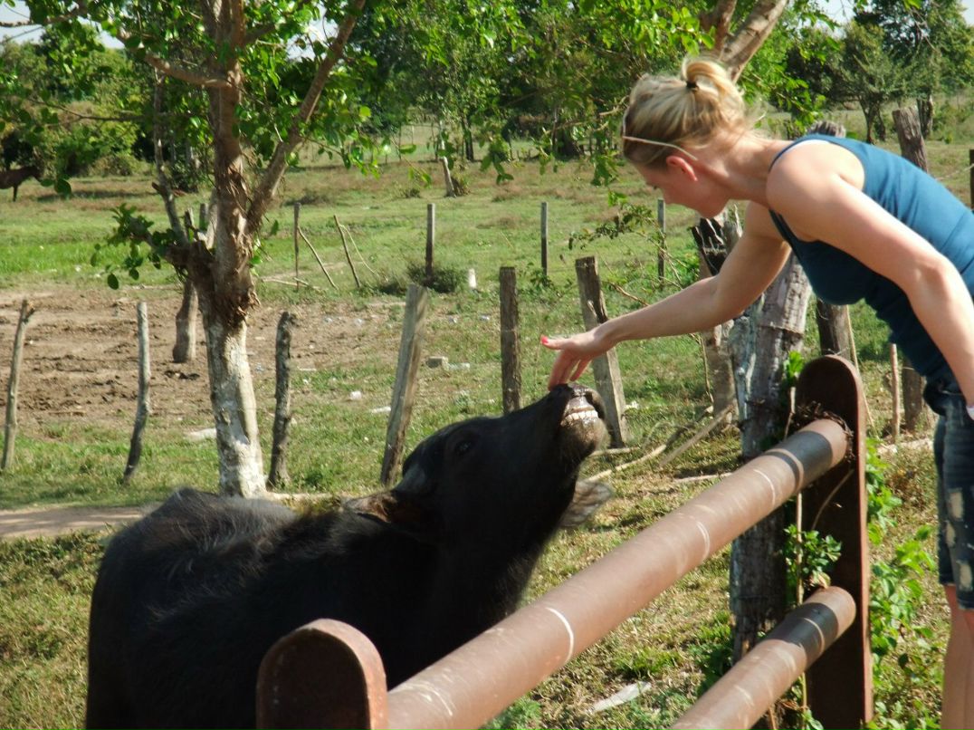 Виктория Иоаннидис | Москва