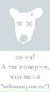 Фотография Гаяз Нигматуллин