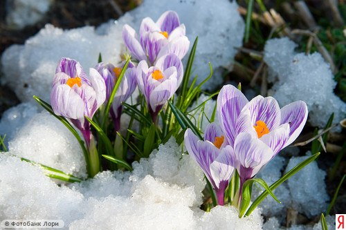 Юлия Болоховец | Днепр (Днепропетровск)