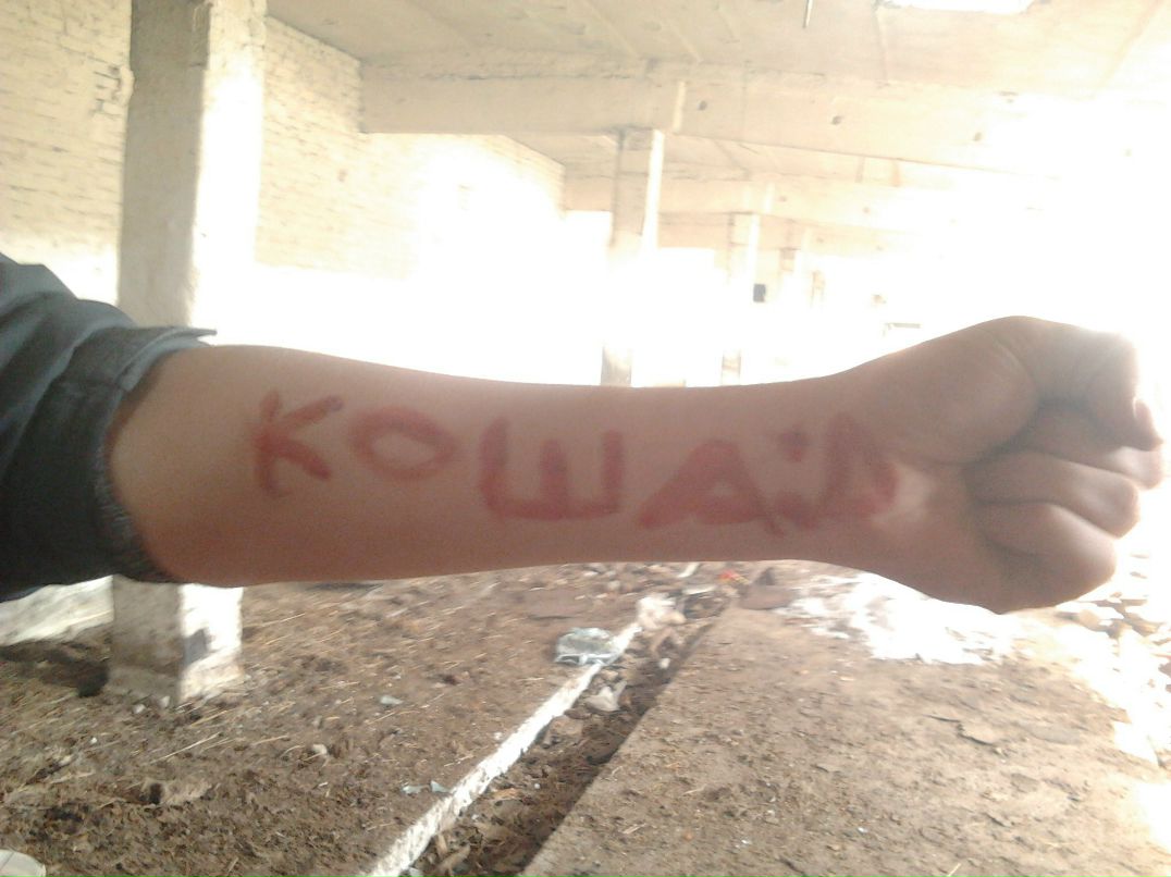 Всеволод Никитин | Конаково