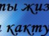 Саша Ганин | Тверь