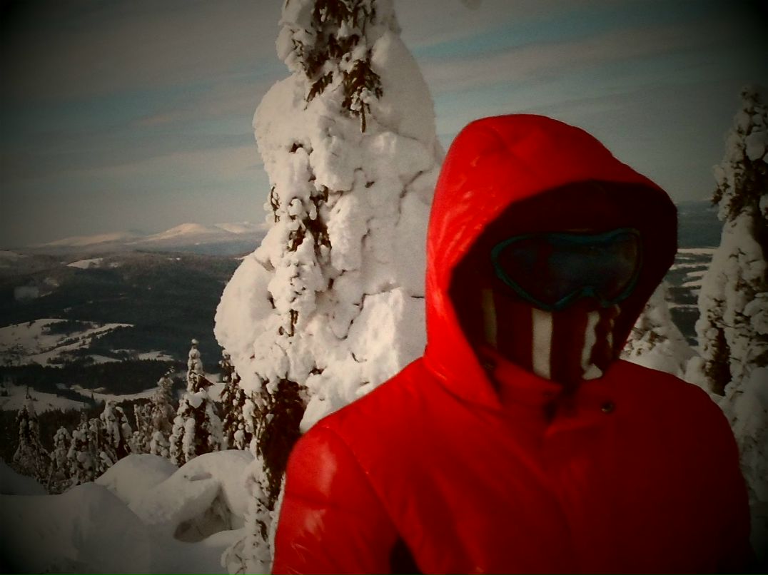 Олександр Лісовий | Verona