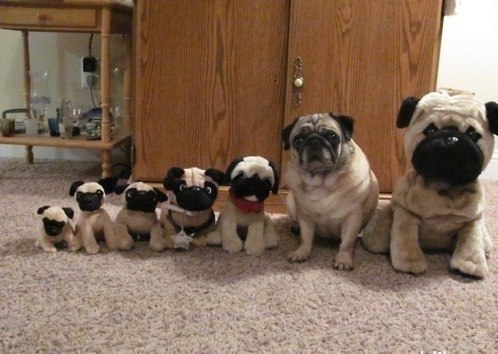 Надежда Литаврина | Оренбург