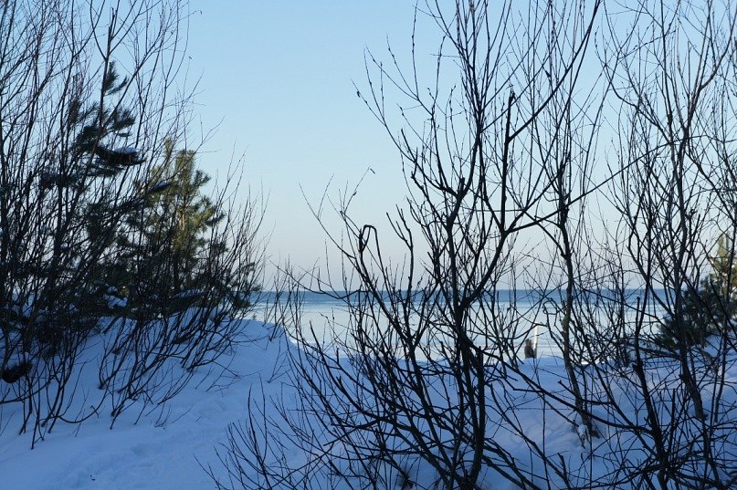 Дина Ковальчук | Рига