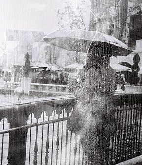 Дарья Корольская | Санкт-Петербург