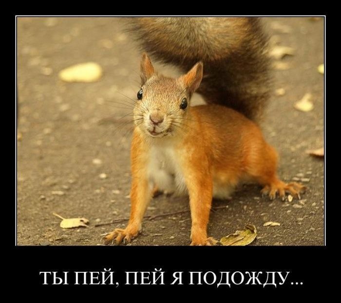 Руслан Корнийчук | Киев