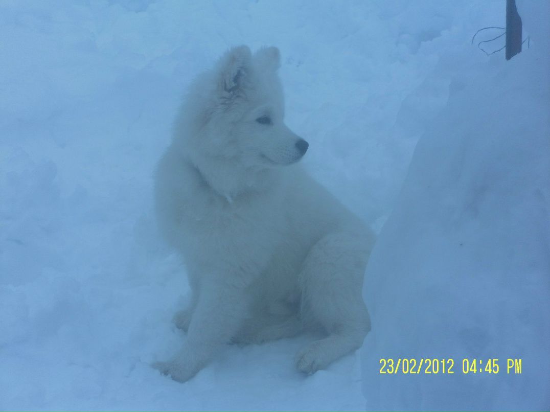 Александр Китаев | Кириши