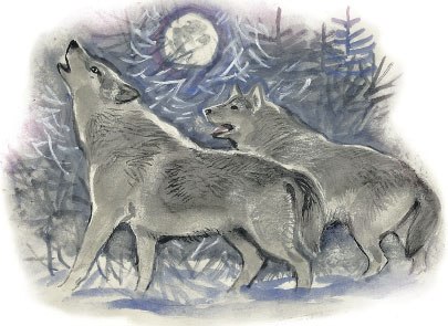 Денис Ковалёв | Брянск