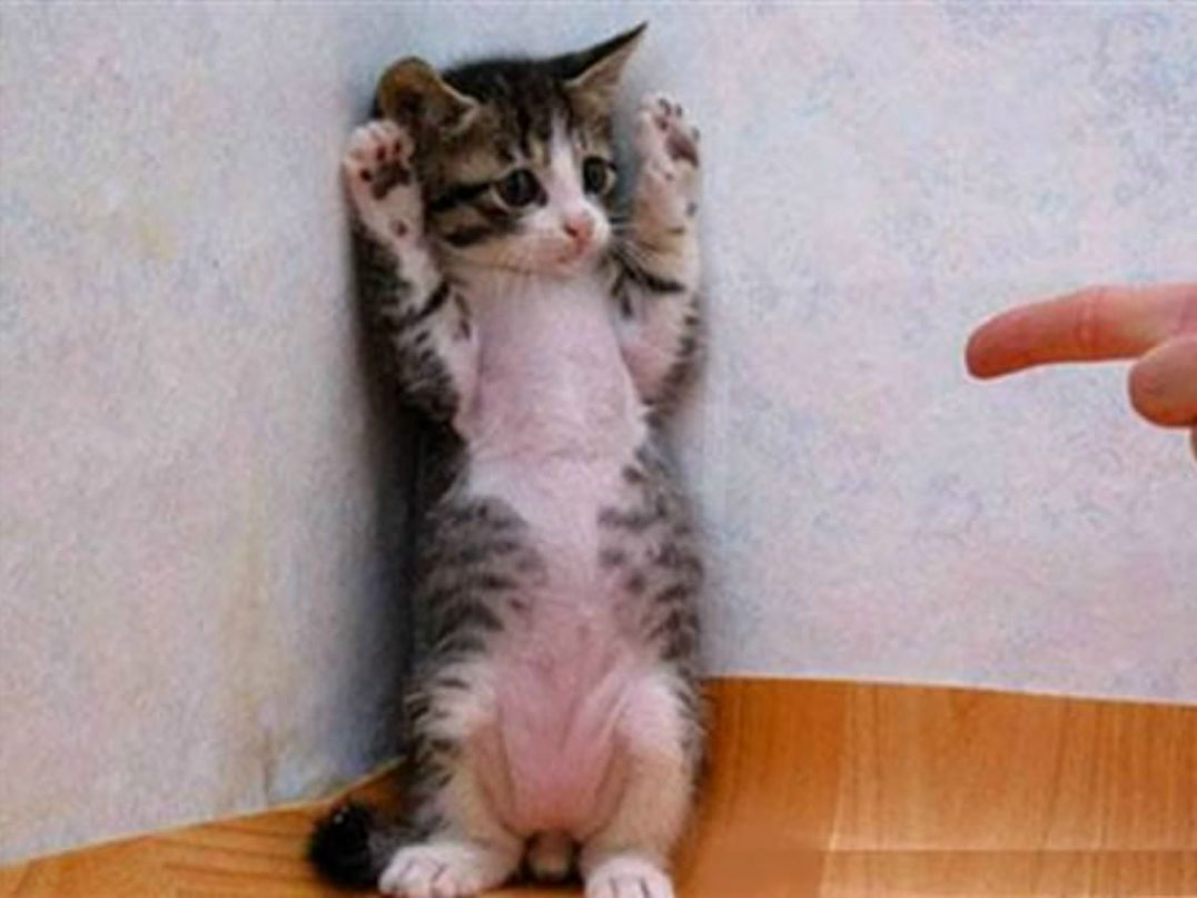 Дима Овчинников | Казань