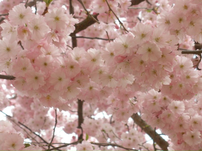 Татьяна Синькевич | Regensburg