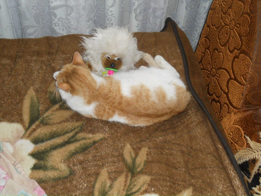 Екатерина Степанова | Новоржев