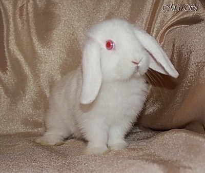 Мария Манишкина | Люберцы