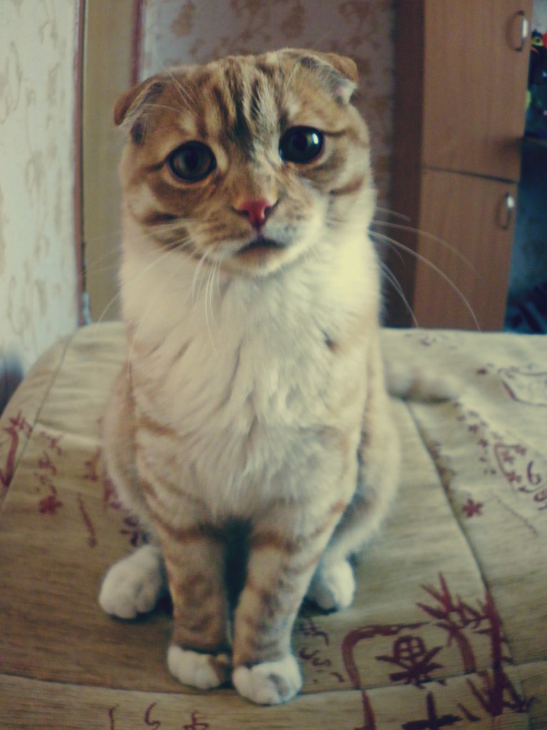 Ирина Извекова Альбертовна | Ноябрьск