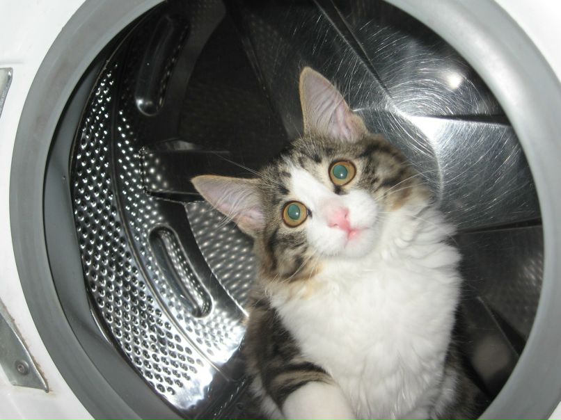 Виктория Мосина | Зеленогорск