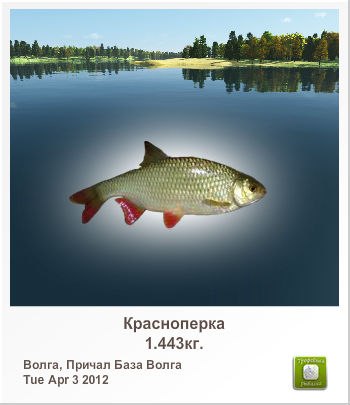 Антон Инкогнито இ ♥קƹ®Ϛ♥ईツ | Ярославль