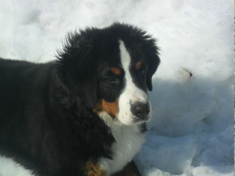 Оксана Потапова | 