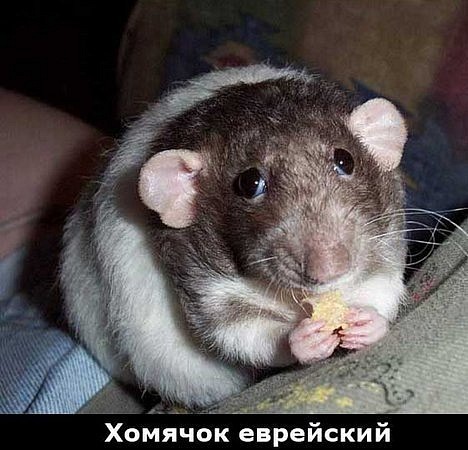 №15, Виктория Васильковский, Одесса №15, Виктория Васильковский, Одесса