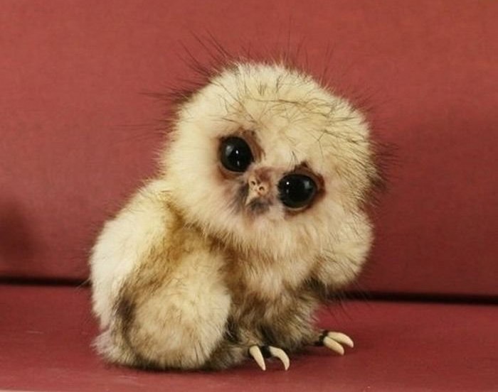 Виктория Юферева | Москва