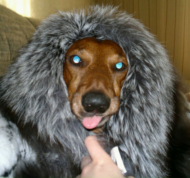 Ирина Фадина | Самара