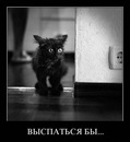 №20 Ксения Филиппова 24.12.1992: профиль, фото, статус - ВКонтакте