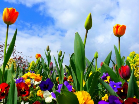 №183, Александра Капитальман, 37 лет, Киев №183, Александра Капитальман, 37 лет, Киев