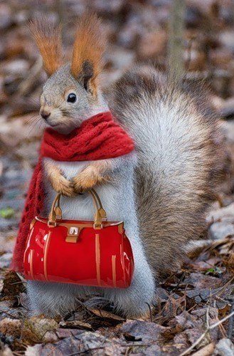 Елена Лукьянова | Чусовой