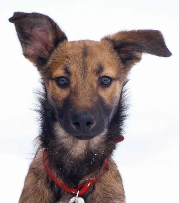 Rost Фамилией | Уфа