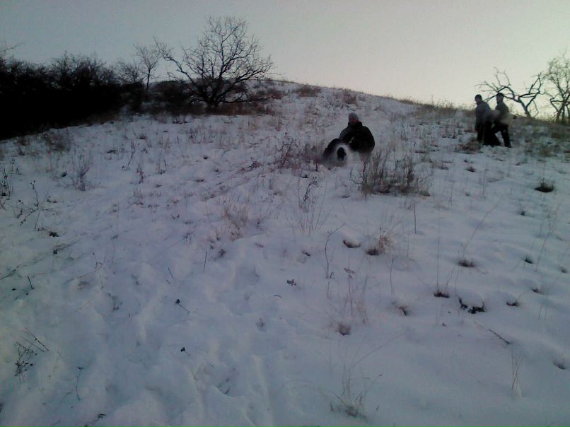 Михаил Каргин | Санкт-Петербург