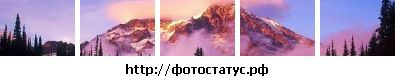 Фотография Лили Данг