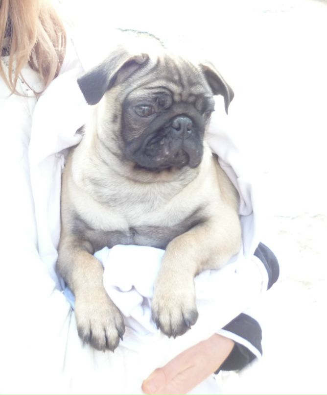 Лиля Колотова | 