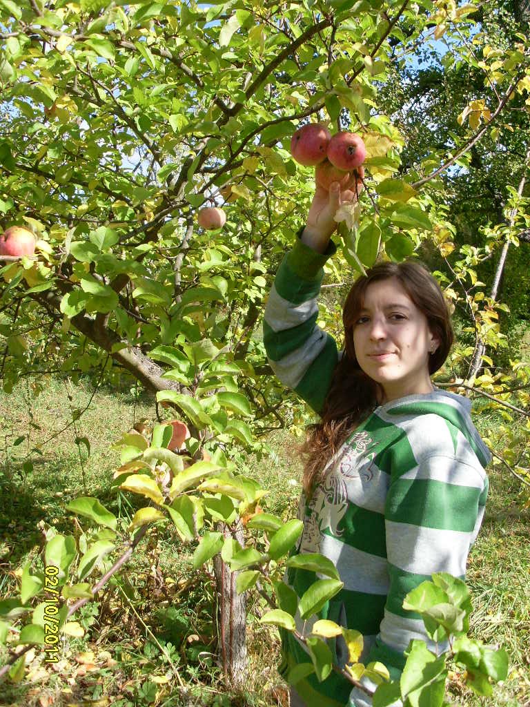 Олександр Кліменко -★KLIM★- | Черновцы